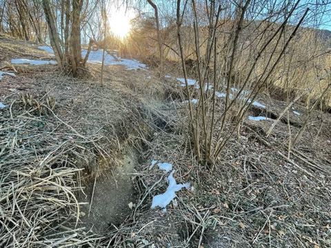 Fieldwork in Alpago, photo 5