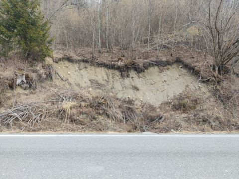 Fieldwork in Alpago, photo 11